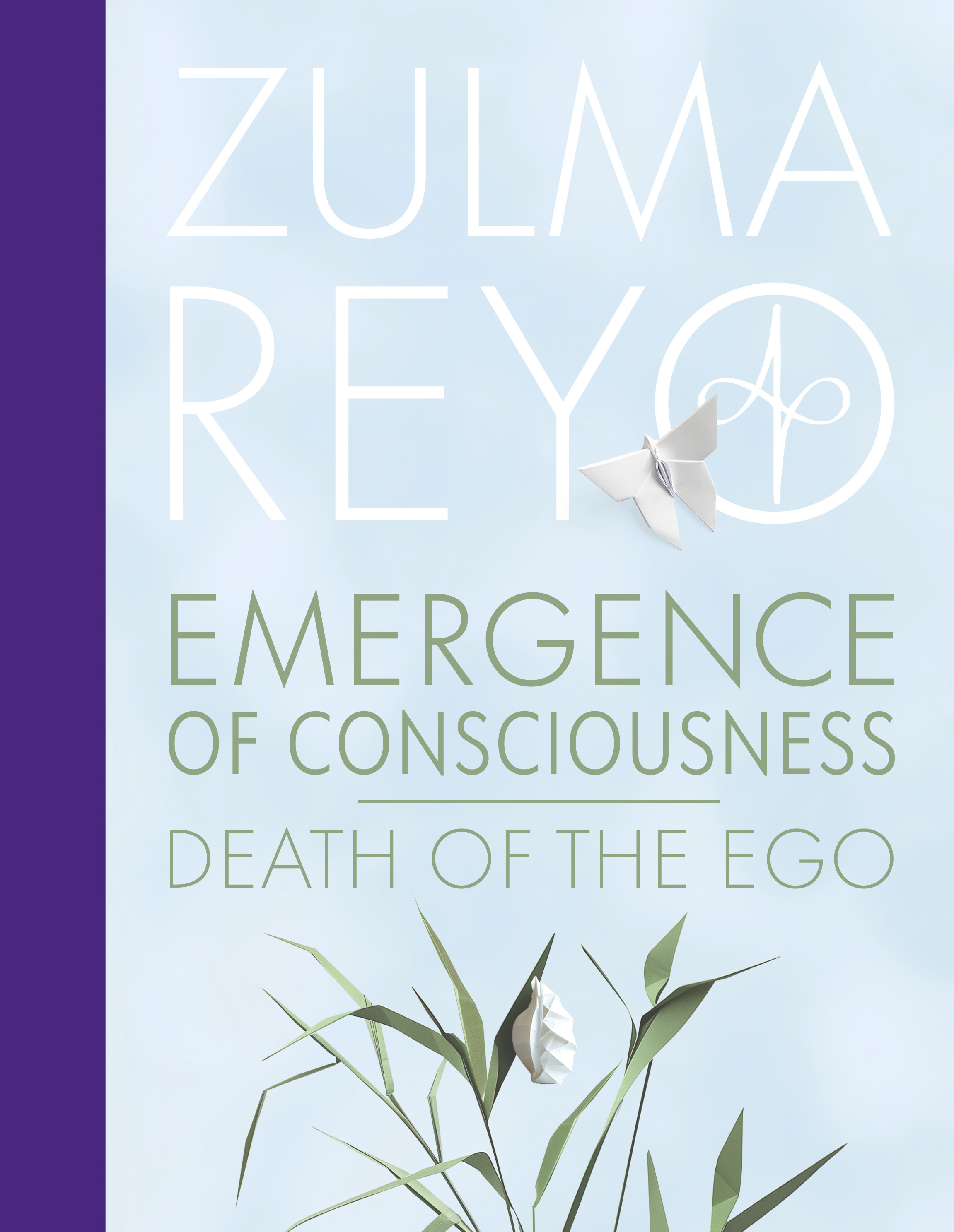 Book cover: Emergence of Consciousness